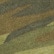 color: Camo