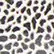 color: Leopard